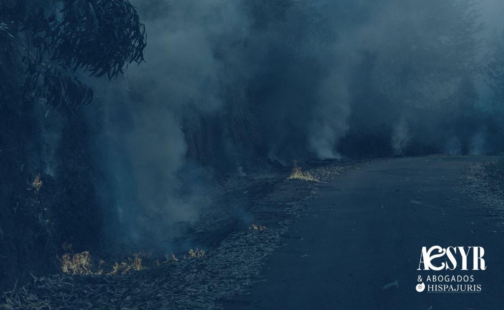 Claves legales para reclamar a las aseguradoras tras un incendio este verano